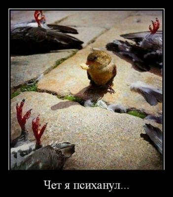 Прикрепленное изображение: 0c03c3cea157626dcfdf307f8089b822.jpg